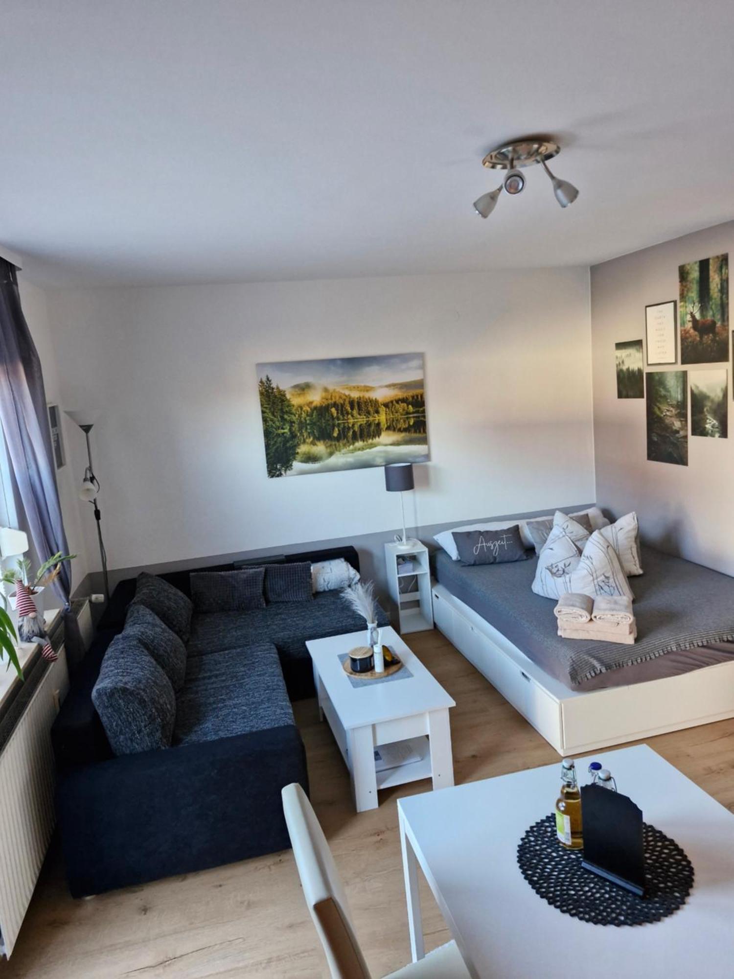Apartment Mit Garten Bad Lauterberg Kültér fotó